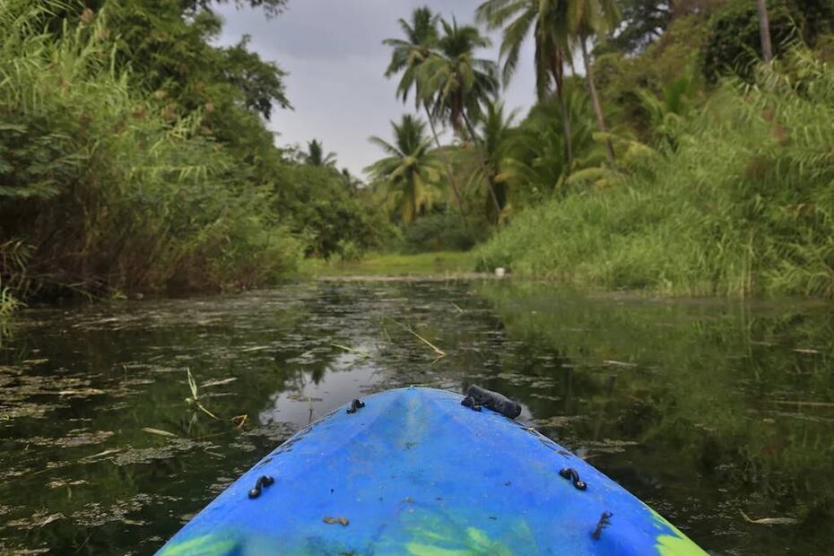 Foto: Proyecto Maloca