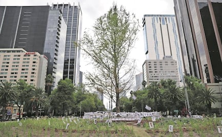 Reciben al ahuehuete en Reforma entre fiesta y protesta
