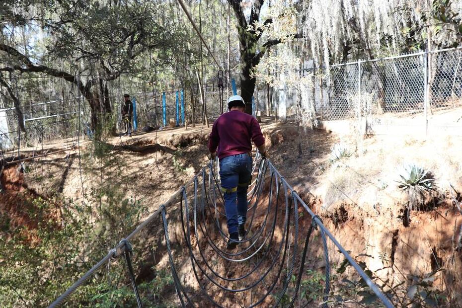 Foto: Bosque de las Truchas