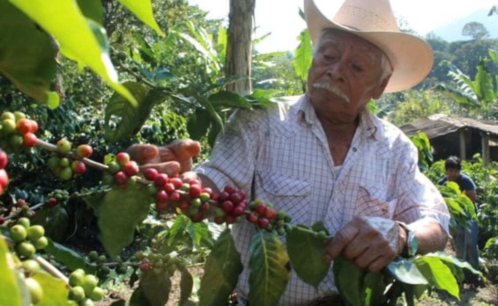 Tlatlauquitepec: 10 razones para pasar un fin de semana en este Pueblo Mágico
