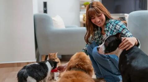 ¿Qué es el síndrome del arca de Noé?; UNAM advierte sobre esta patología