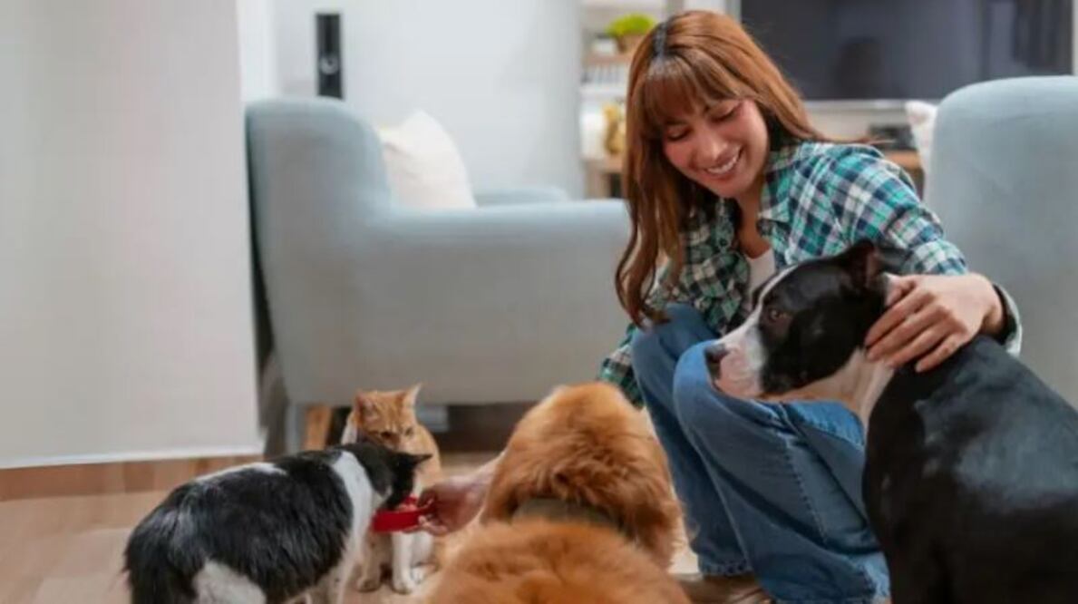 Descubre cuales son las señales de alerta de este trastorno. Foto: Pexels