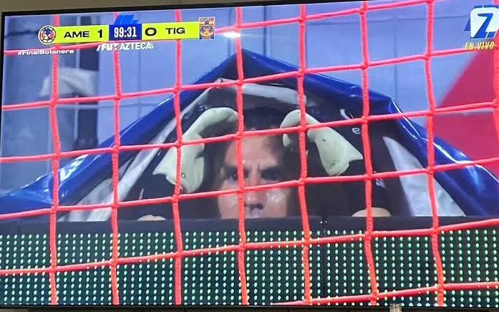 MEMES TIGRES