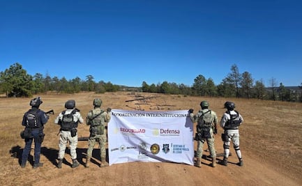Desinstalan pista de aterrizaje clandestina en Guachochi, Chihuahua; presumen vínculo con crimen organizado