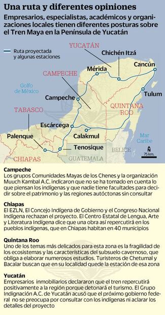 Tren Maya: preocupa en Península afectación al ecosistema  