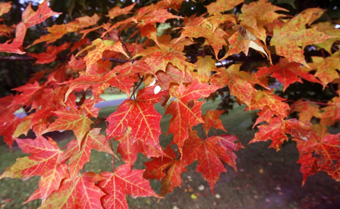 People often visit archeological sites during the equinox - Photo: Toby Talbot/AP