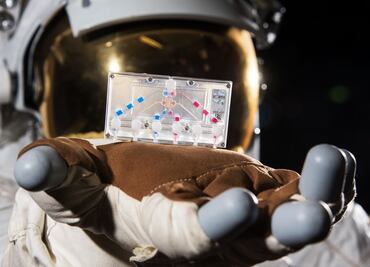 NASA enviará al espacio tejido humano en chips
