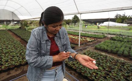 Fiscalía CDMX acepta que dió mala atención a Elisa Xolalpa, víctima de ataque con ácido en 2001