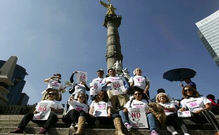 Inicia campaña por el No al Corredor Cultural Chapultepec