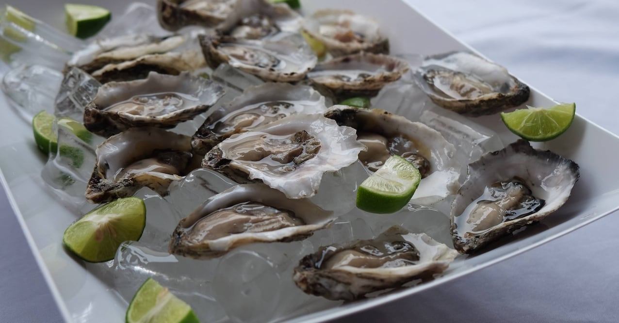 Fotos: Raquel del Castillo 