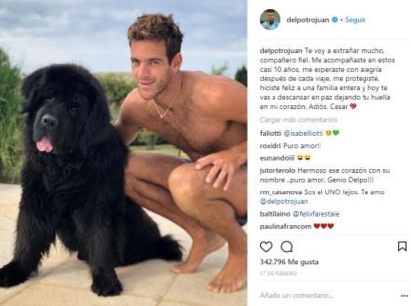 Del Potro dedica título a su perro