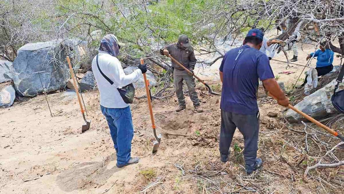 El Colectivo de Búsquedas por La Paz ha localizado entre 2021 y 2025 tres zonas de entierros: El Centenario, El Cajoncito y San Juan de la Costa. Foto: Especial