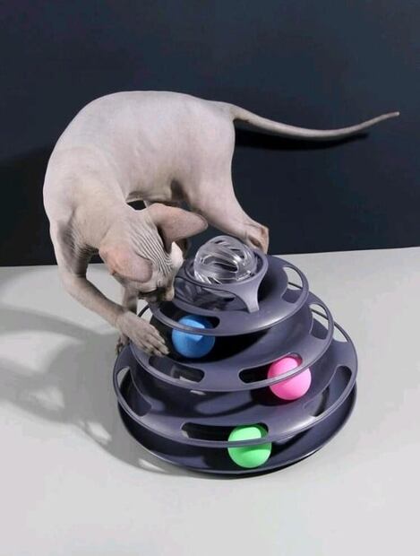 Estos son los mejores regalos de Navidad para tu mascota 