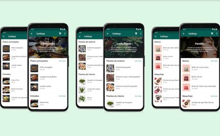 Llegan colecciones de catálogos a WhatsApp Business
