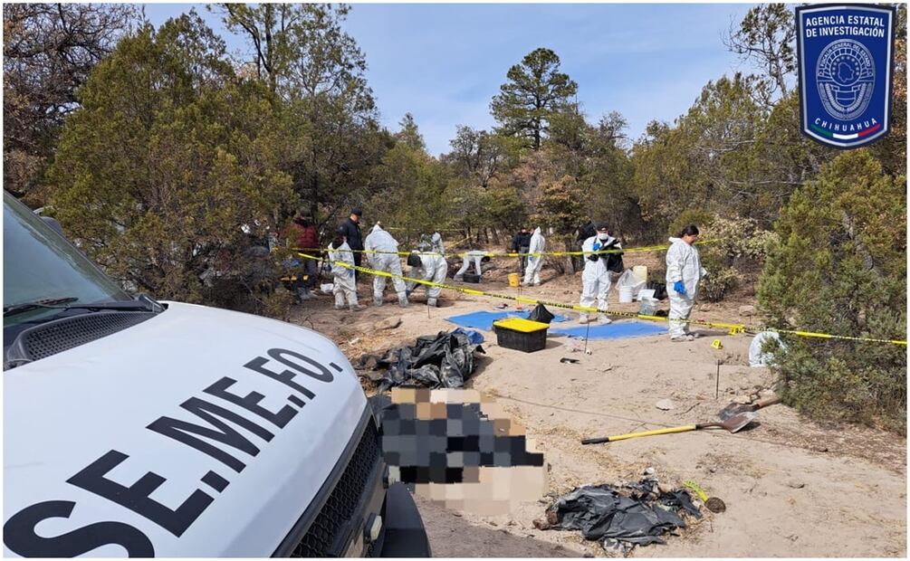 El equipo del Semefo trabaja en la zona de Casas Grandes, Chihuahua (23/01/2025). Foto: Especial
