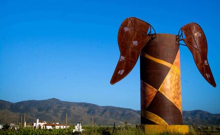 La ruta del mejor vino de México