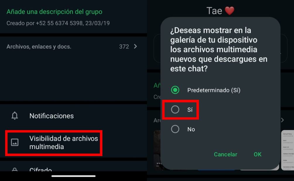 Imagen: captura de pantalla