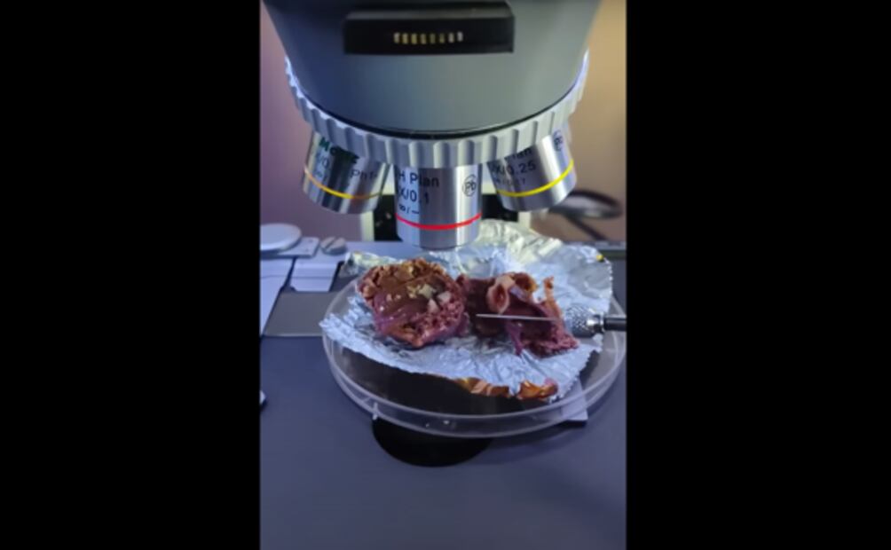 Bajo el microscopio: ¿De qué están hechos los Ferrero Rocher?