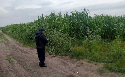 Hallan toma clandestina de hidrocarburo en Huehuetoca, Estado de México