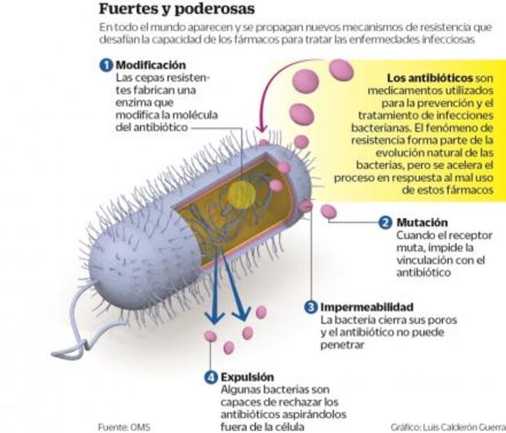 Crece resistencia de 12 bacterias a antibióticos: OMS
