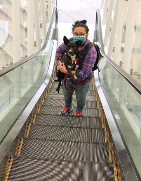 Guadalajara pet-friendly: hoteles y restaurantes para viajar con tu perro