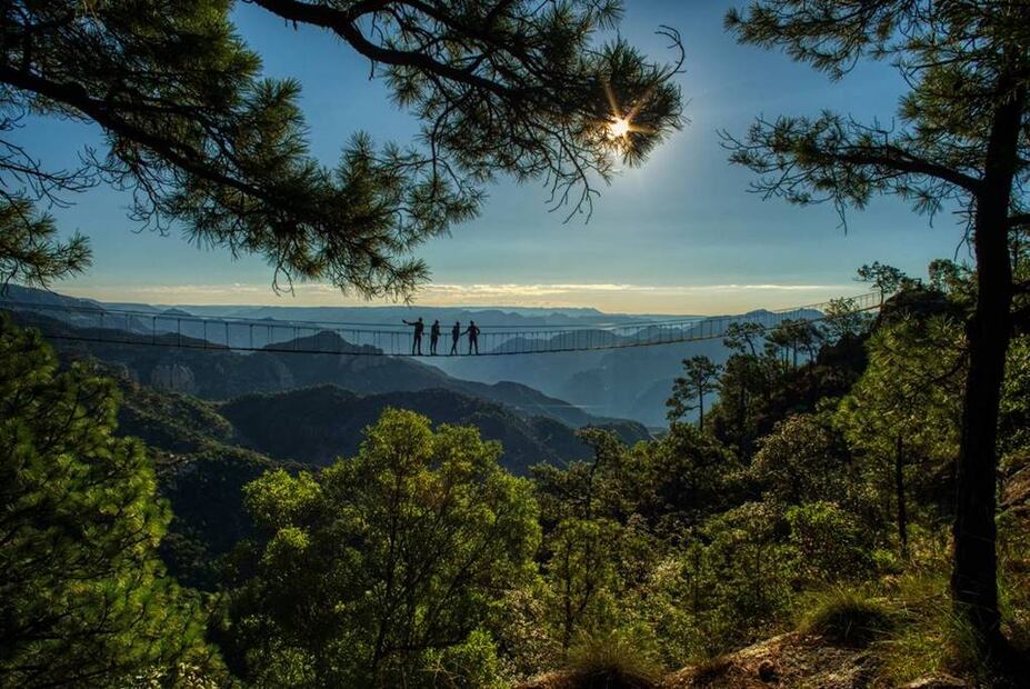 Foto: Fidetur Chihuahua