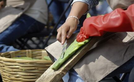 Del sur al corazón de la ciudad; la Feria del Nopal se despide en el Monumento a la Revolución