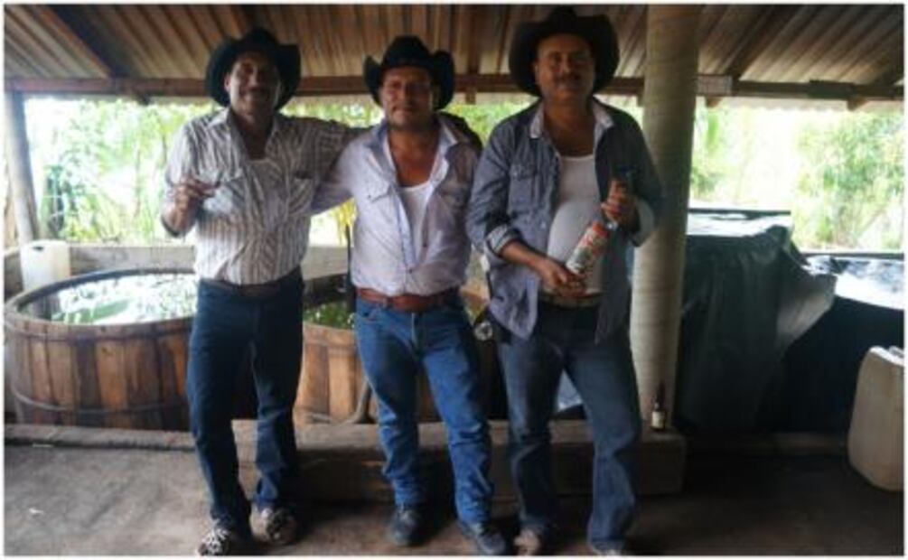 Sin maguey no hay mezcal
