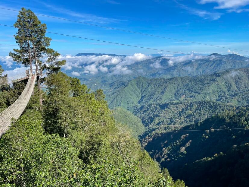 No importa la temporada que visites el sur de Oaxaca para disfrutar esta experiencia, el recuerdo será memorable. Foto: Cortesía Restaurante Itoo