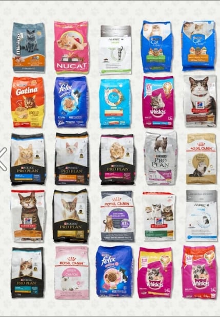 ¿Alimentas bien a tu michi? Estas son las 19 marcas que sí cumplen con sus leyendas