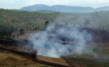 Alertan por incendios en Chiapas ante época de estío