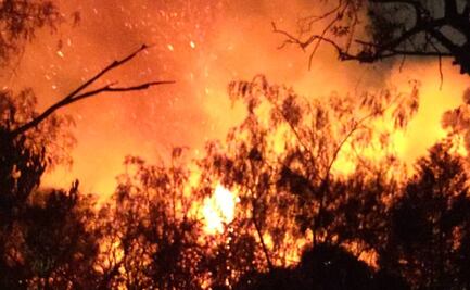 Sofocan 2 incendios forestales en CDMX; uno de ellos en el Panteón Civil de Dolores