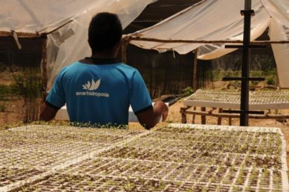 “Agrocoin,” the new way to invest in agriculture