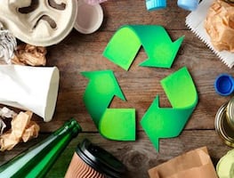 Senado prohíbe publicidad falsa de productos que ostentan como “verdes” o “ecológicos”; no cuentan con respaldo científico