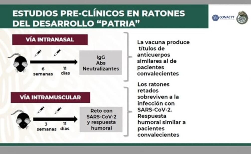 Patria. Lo que sabemos y lo que no de la vacuna mexicana contra Covid-19