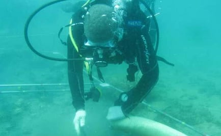 Hallan en Kenia gran barco portugués hundido hace medio siglo