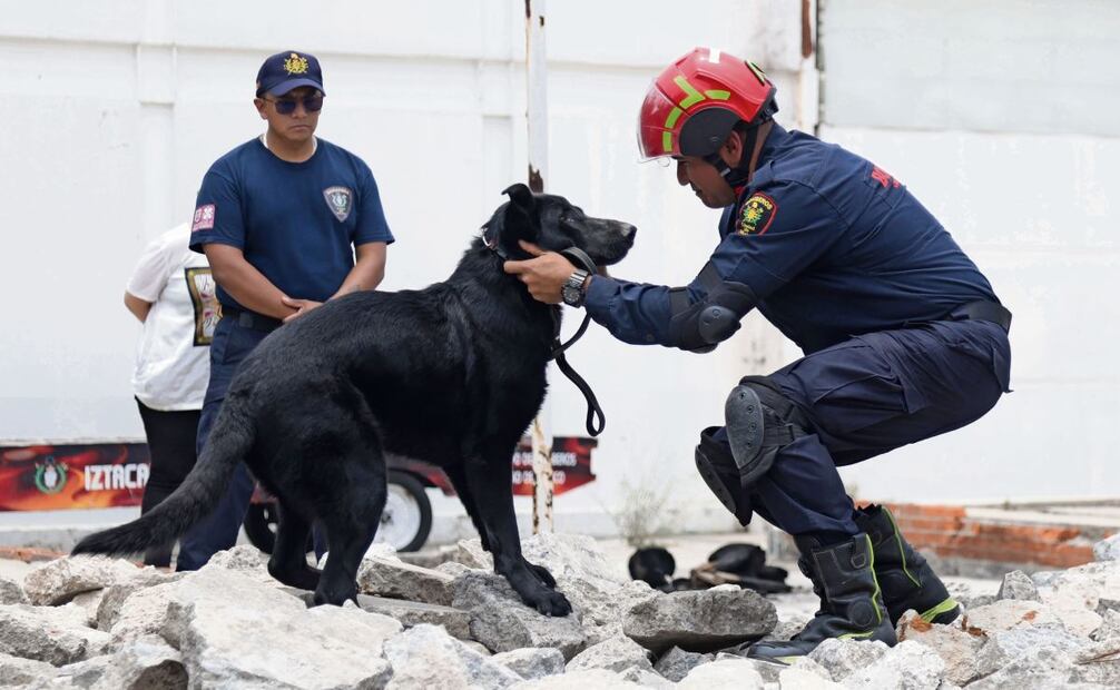 Togo y Donovan Millán son el único binomio del Cuerpo de Bomberos destinado al rescate de personas bajo estructuras colapsadas.  Foto: Carlos Mejía/EL UNIVERSAL