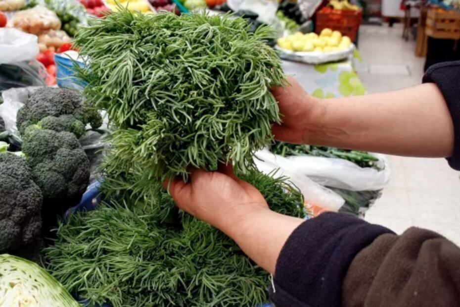 Beneficios de comer romeritos, el platillo navideño