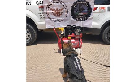 Localiza Guardia Nacional droga oculta en compresor de aire en Sinaloa