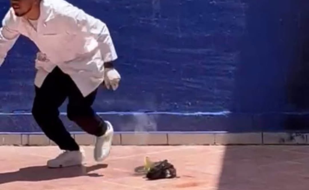 Estudiantes de Guanajuato hacen explotar a gato con pirotecnia (10/08/2025). Foto: Captura de pantalla