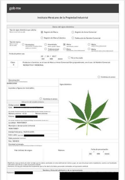 Solicitan al IMPI los derechos sobre nombre y logo de la marihuana