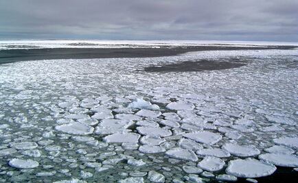 Hielo de la Antártida se reduce significativamente