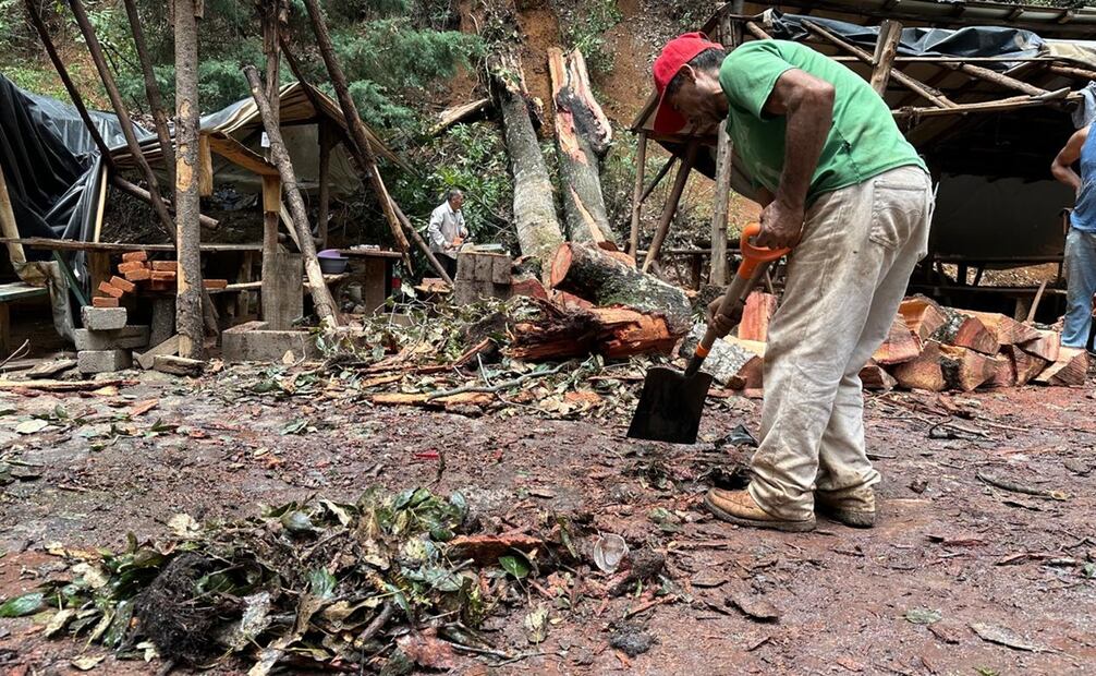 Según los ejidatarios, es el preludio de una posible temporada de derrumbes y caída de árboles. Foto: Claudia González / EL UNIVERSAL