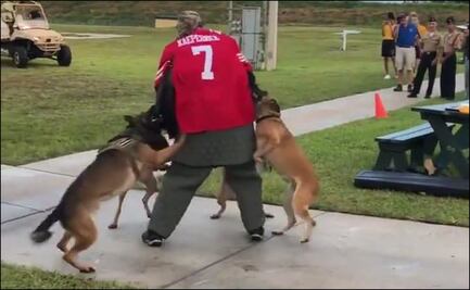 Marina de EEUU investiga video de entrenamiento de perros con sujeto que usa jersey de Kaepernick
