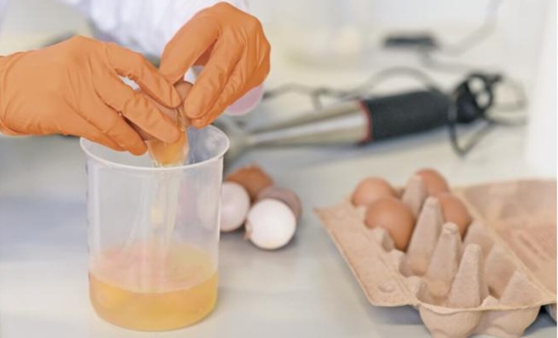 A German laboratory examines eggs to verify if they contain Fipronil pesticide-Photo: Andreas Gebertd/REUTERS