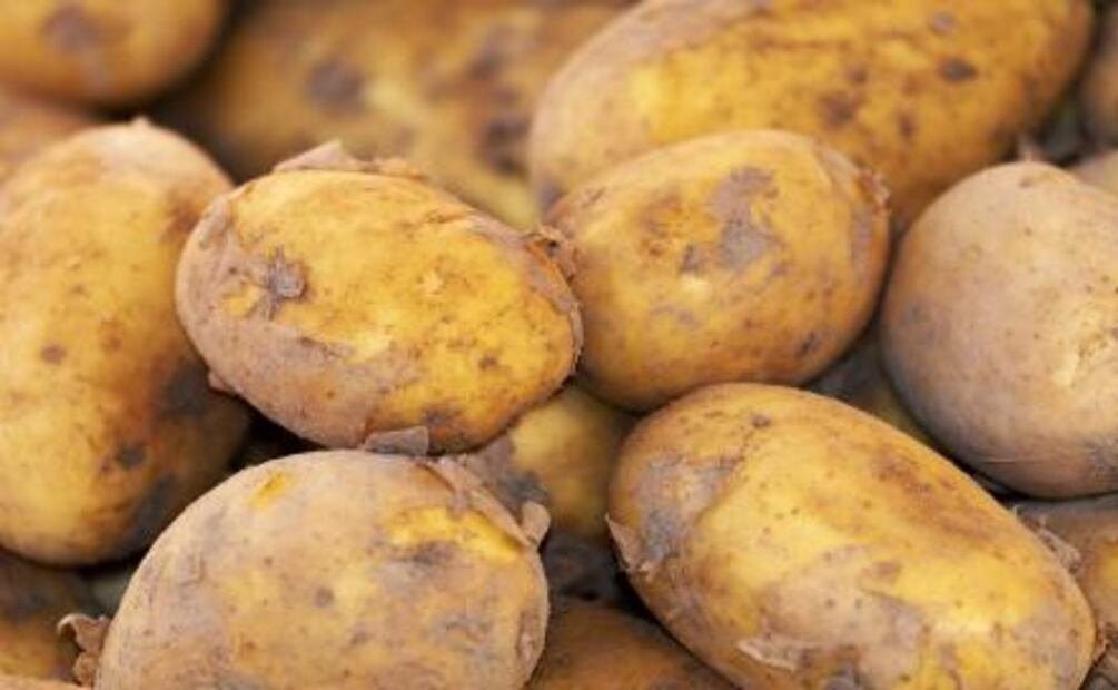 5 recetas que puedes hacer con papa