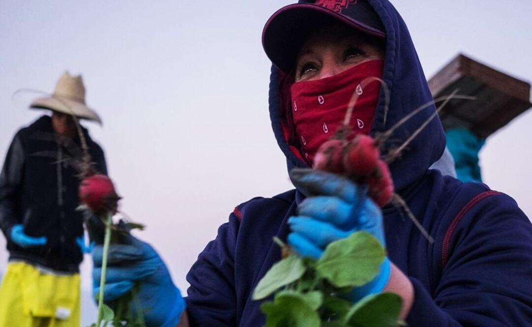 Ramona was worker in the fields for 8 years – Photo: Yunuen Bonaparte