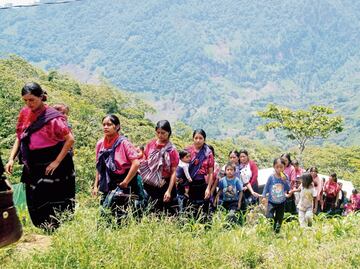 More than 11,000 people displaced by violence in Mexico