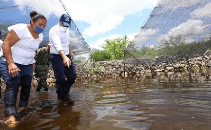 Campo yucateco, el más afectado por huracán "Delta", reporta Gobierno