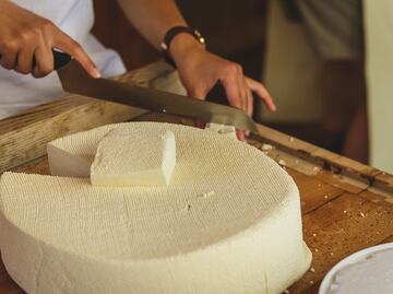 ¿De qué está hecho el queso panela?